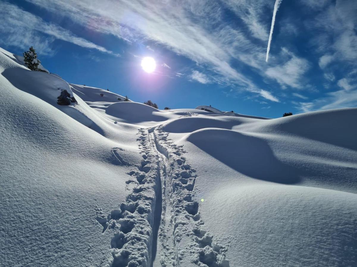 Das Ihaeusl Aschau Im Zillertal Εξωτερικό φωτογραφία